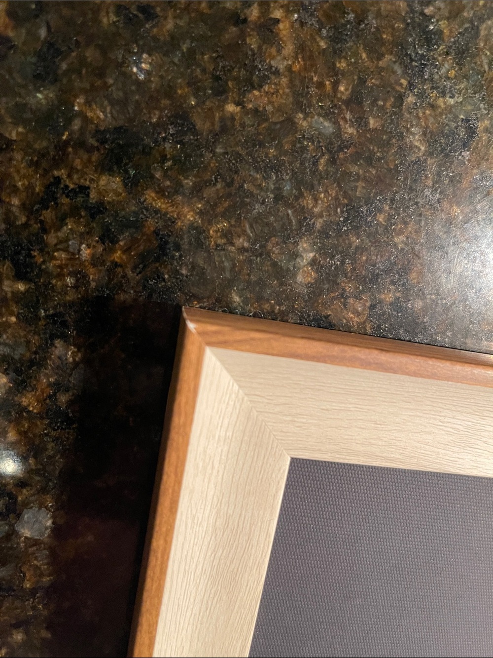 Framed Swan Artwork - Cream Swan on Dark Backgroundy - Picture 9 of 14